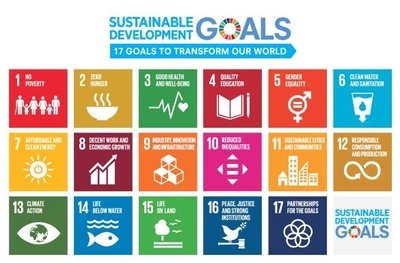 持続可能な開発目標（Sustainable Development Goals：SDGs）