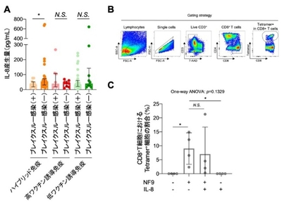 図2 血中サイトカイン・ケモカイン解析とSARS-CoV-2特異的CD8+T細胞誘導に対するIL-8の影響