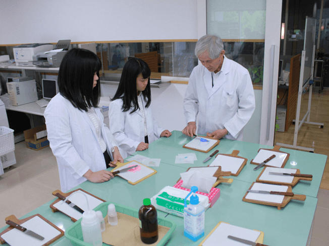 薬剤師の仕事イメージ