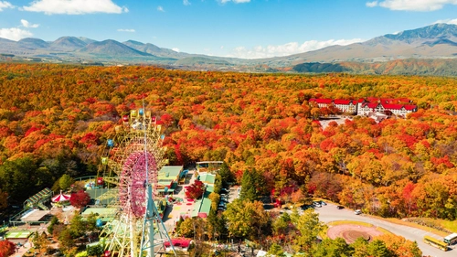 浅間高原の絶景の紅葉を見下ろす大観覧車(動画あり)