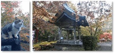 小松寺