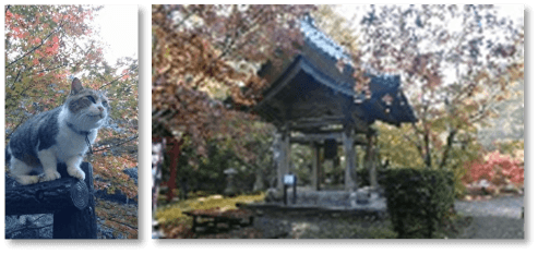 小松寺