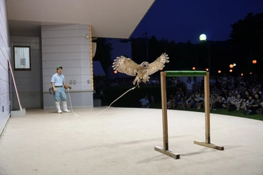 福山市立動物園を夜間も開園