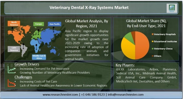 Market reports detail all of the following points and provide market trends based on analysis.