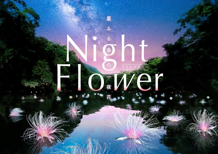 【作品メインビジュアル】Night Flower ~星ふる島の一夜花~