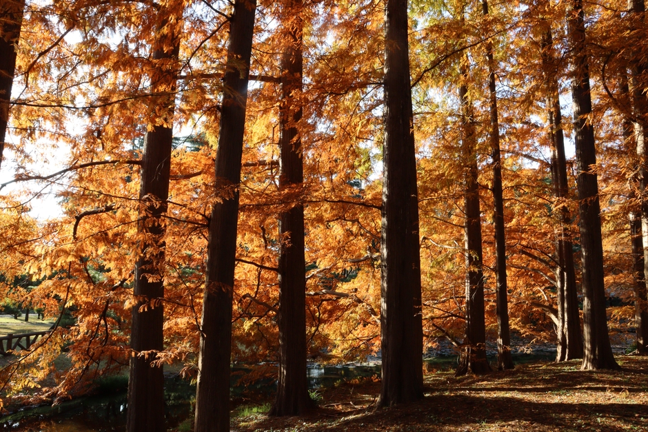 （令和4年撮影）