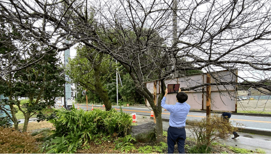 宇都宮の建築予定地。桜の木をタブレット端末で3Dスキャンする