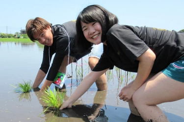 地元を盛り上げる地域活性化プロジェクト「さんむ田んぼアート2019 はじめる田植え」で田植え体験、地元産食材BBQ、田植え結婚式を実施