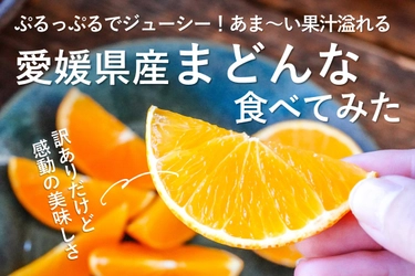 近年人気急上昇のあの果物！「まどんな」とはどんな味？たびふくの【食べてみた】記事が公開されました【旅する久世福e商店】