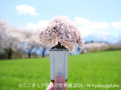 展示作品：N＝yatsugatake(2)