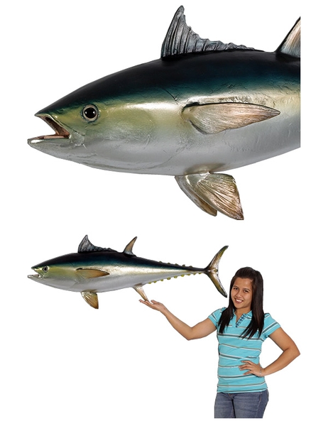 マグロ/Bluefin Tuna