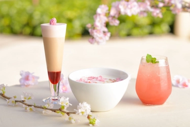 華やかに桜香る、期間限定のドリンク3種登場  オープンテラスで春を感じる 「SAKURA　FAIR」 開催