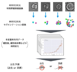 生まれる可能性の高い受精卵を81.63％の精度で予測するAI開発に成功　－体外受精の成功率向上に寄与－