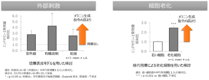 図2　外部刺激や細胞老化によるメラニン生成指令の上昇