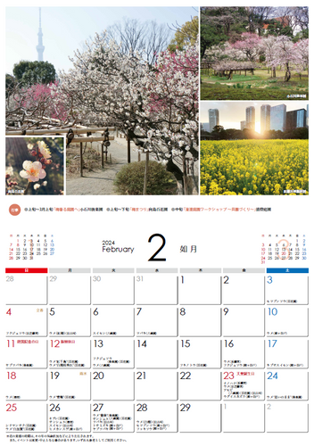 都立庭園カレンダー2024（2月）