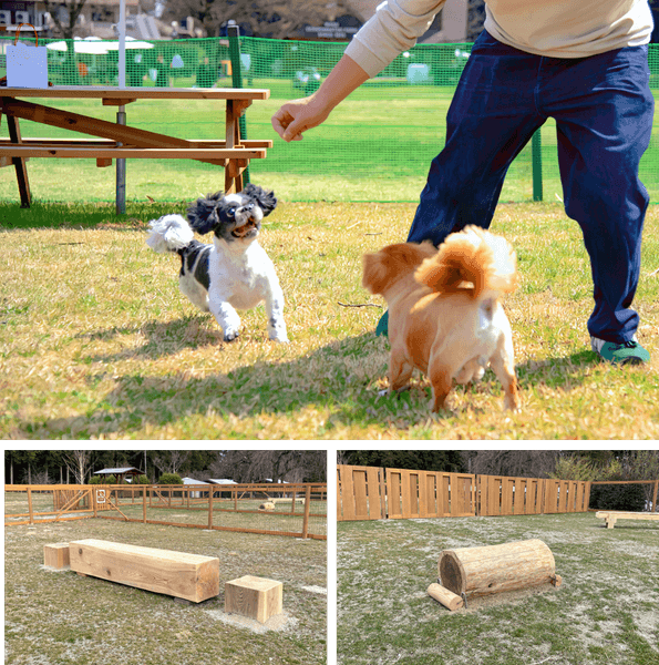 木製のアジリティ