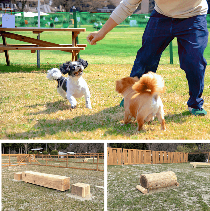 木製のアジリティ