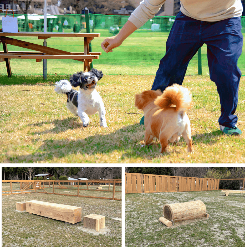 木製のアジリティ