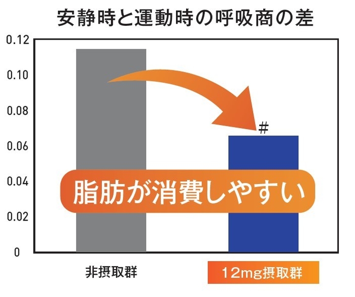 ブラックジンジャー成分による脂肪消費促進