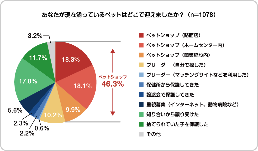 【ペット調査2022】ペットとのライフスタイルに関する調査を実施