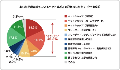 【ペット調査2022】ペットとのライフスタイルに関する調査を実施