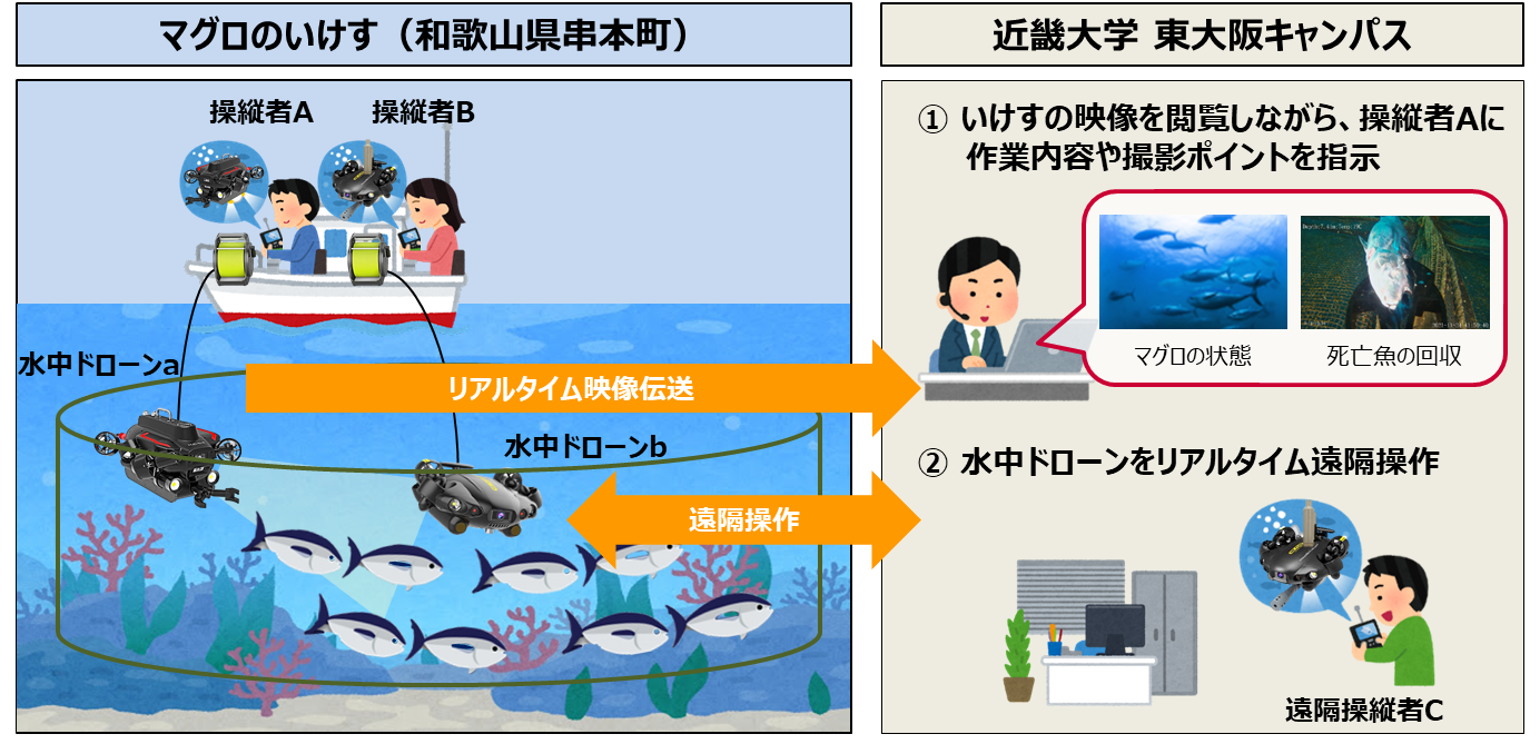 5Gを活用し水中ドローンによる完全養殖クロマグロの状態監視の実証実験を実施～近畿大学水産研究所のいけす内の映像伝送および水中ドローンの遠隔操作によりダイバーの作業代替をめざす～