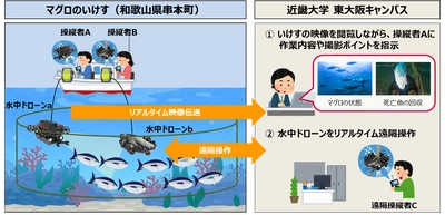 5Gを活用し水中ドローンによる完全養殖クロマグロの状態監視の実証実験を実施～近畿大学水産研究所のいけす内の映像伝送および水中ドローンの遠隔操作によりダイバーの作業代替をめざす～