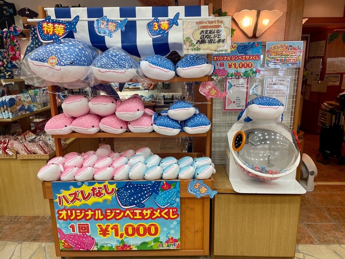 海洋博公園内 ショップやんばるの杜　「ぬいぐるみくじ」(ハズレなし)