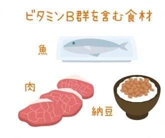 ビタミンB群を含む食材