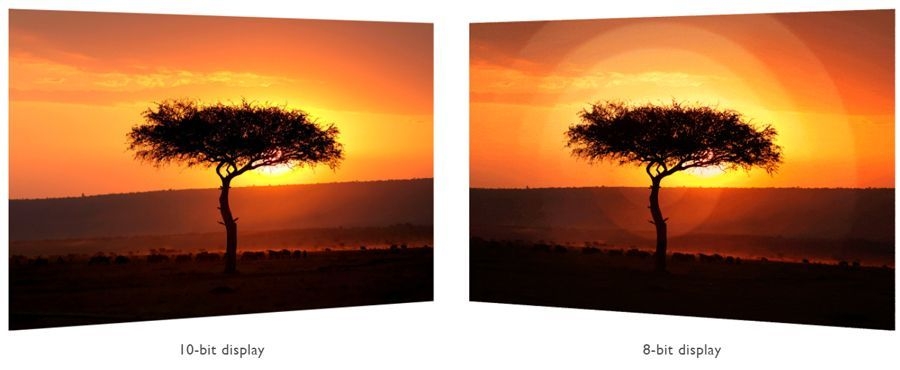 10-bitカラーディスプレイによるなめらかな階調表現
