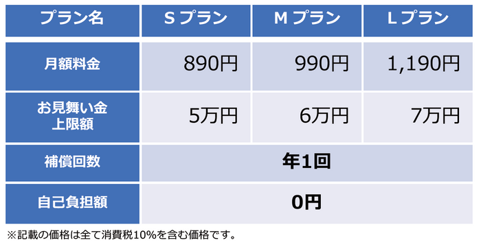 「ワイヤレスゲートWi-Fi＋スマホ保険付き」プランの概要