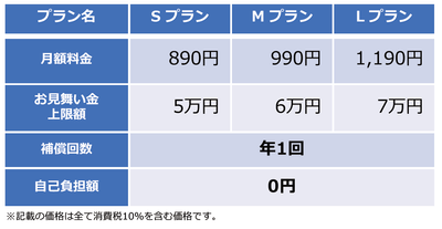 「ワイヤレスゲートWi-Fi+スマホ保険付き」プランの概要