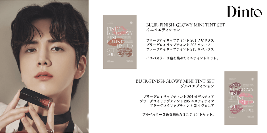 Dinto ブラーフィニッシュグロイ ミニティントセット
