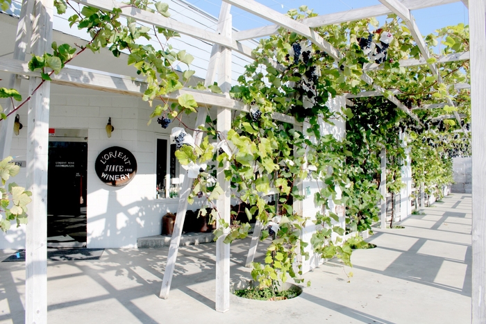 白百合醸造株式会社