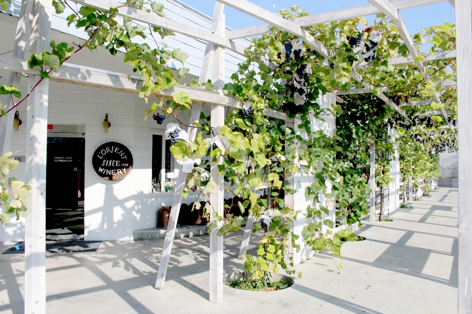 白百合醸造株式会社