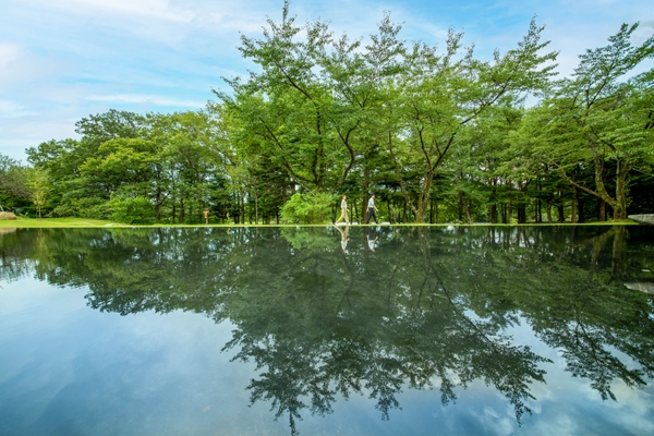 木々や空がうつりこみ、水の流れる音が心地良い「水音の水盤」
