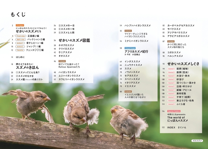 『せかいのスズメ』もくじ