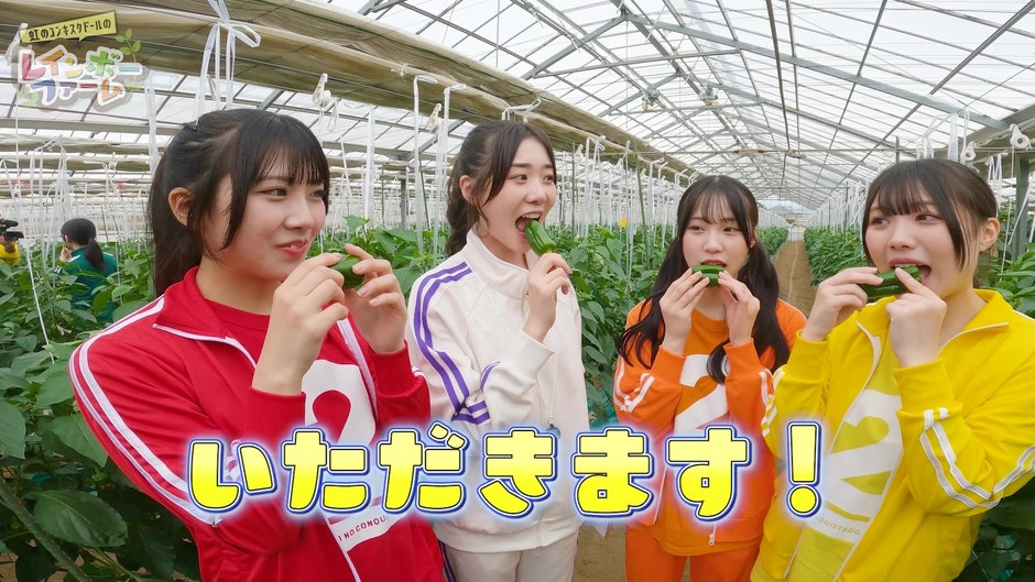 虹のコンキスタドールのレインボーファーム