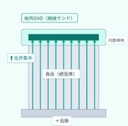 接触状態で電界を誘導する 「CAシステム(Coulomb Attractor System)」を一次産業から 美容・ウェルネス、医療応用へ展開