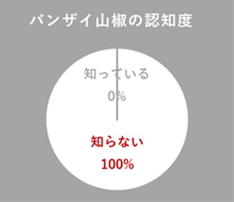 布施ゼミ3年生20人に調査