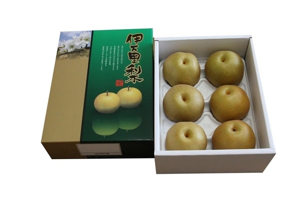 佐賀県伊万里産「豊水梨」