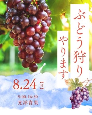 畑のドクターが守る“命の畑”　有機ぶどう狩りなど夏の特別イベント開催