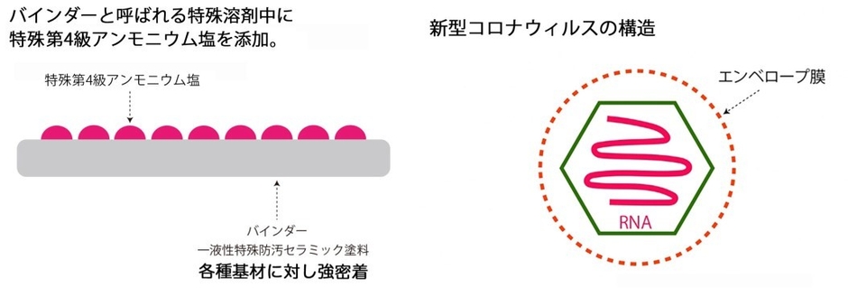 抗ウイルスのメカニズム(1)