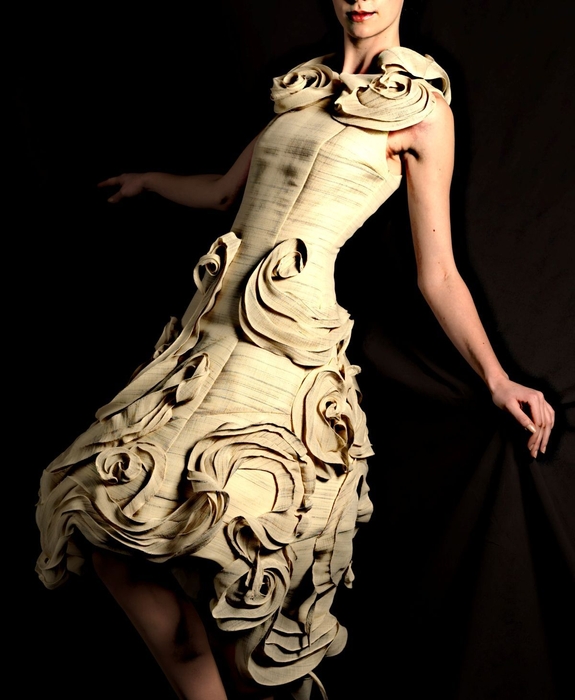 フラクタルドレス　視覚認識学者とのコラボ