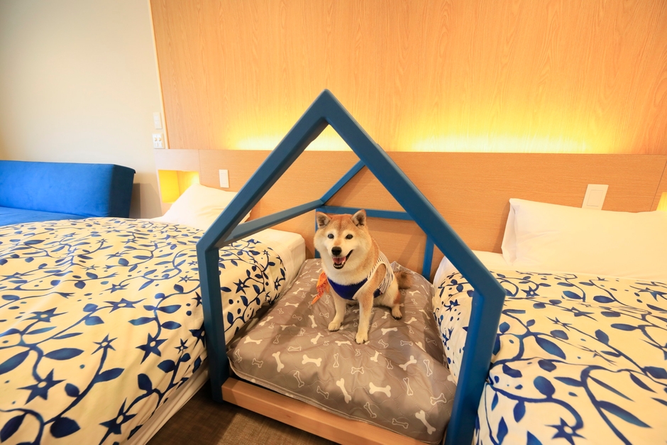 愛犬と一緒に寛げる<客室>
