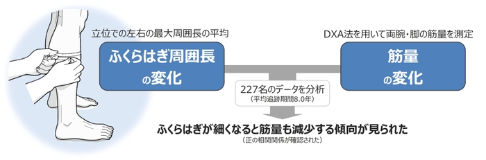 研究結果の概要