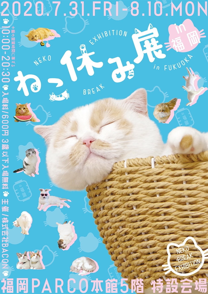 キービジュアル(縦)