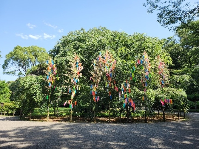 七夕飾り（過年度の様子：六義園）