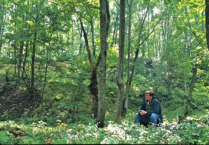 約20年前のアファンの森(森づくりを初めて約18年目）にて