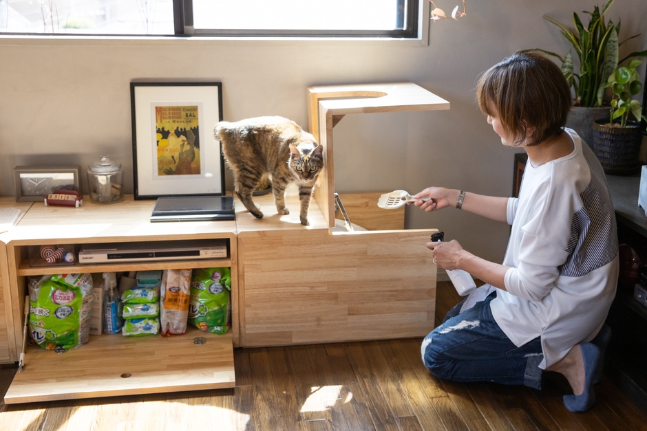 写真 NY& BOARD CABIN+DECK